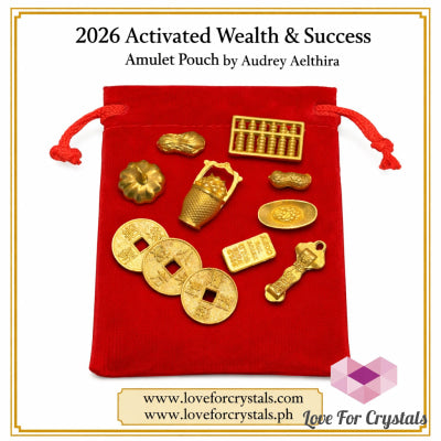 2026 Activated Wealth & Success Amulet Pouch (Pocket Sized 11 pcs) by Audrey (PRE-ORDER) Amulet