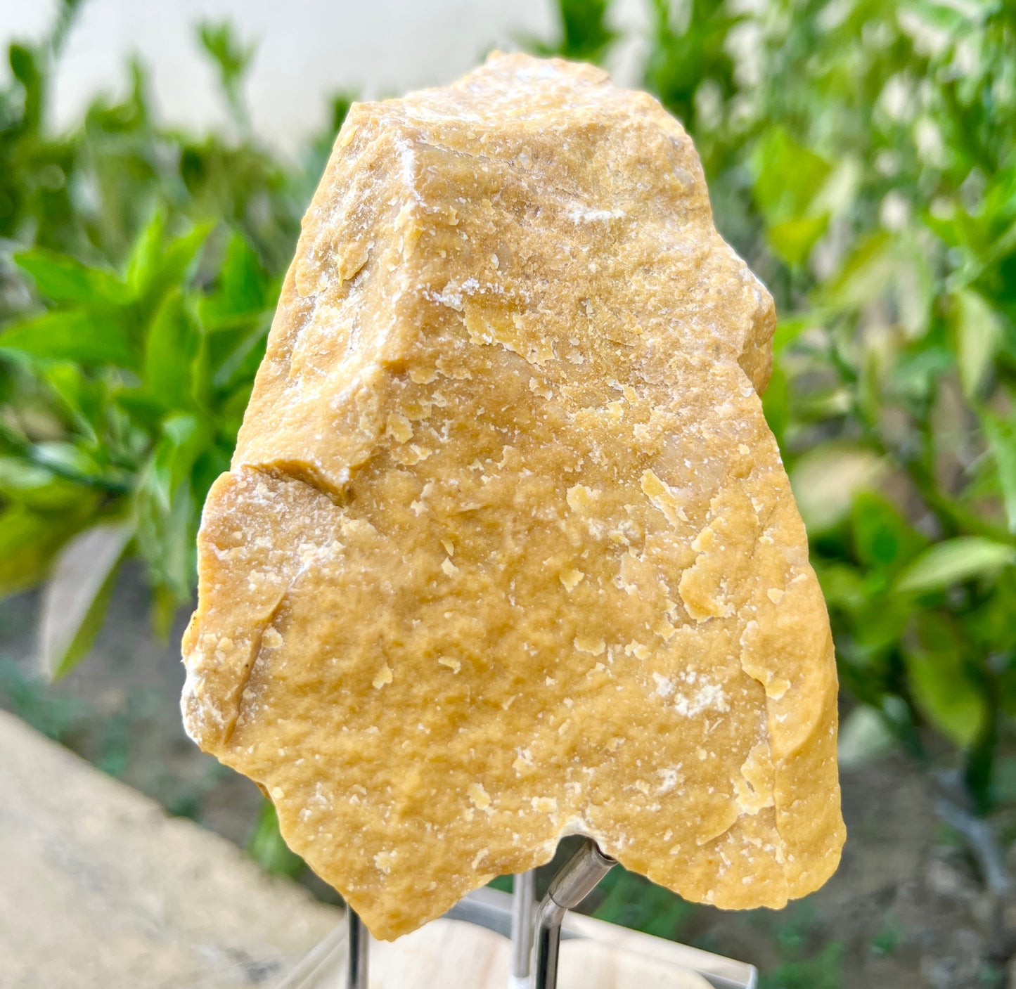 Yellow Jade Raw Big Pieces