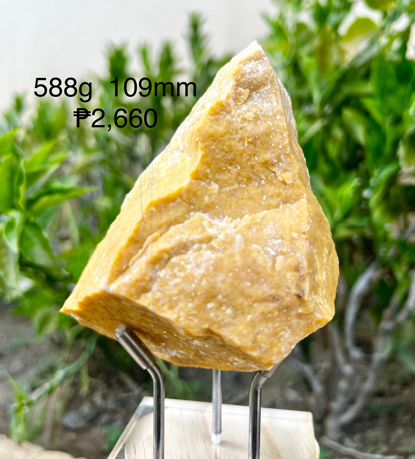 Yellow Jade Raw Big Pieces