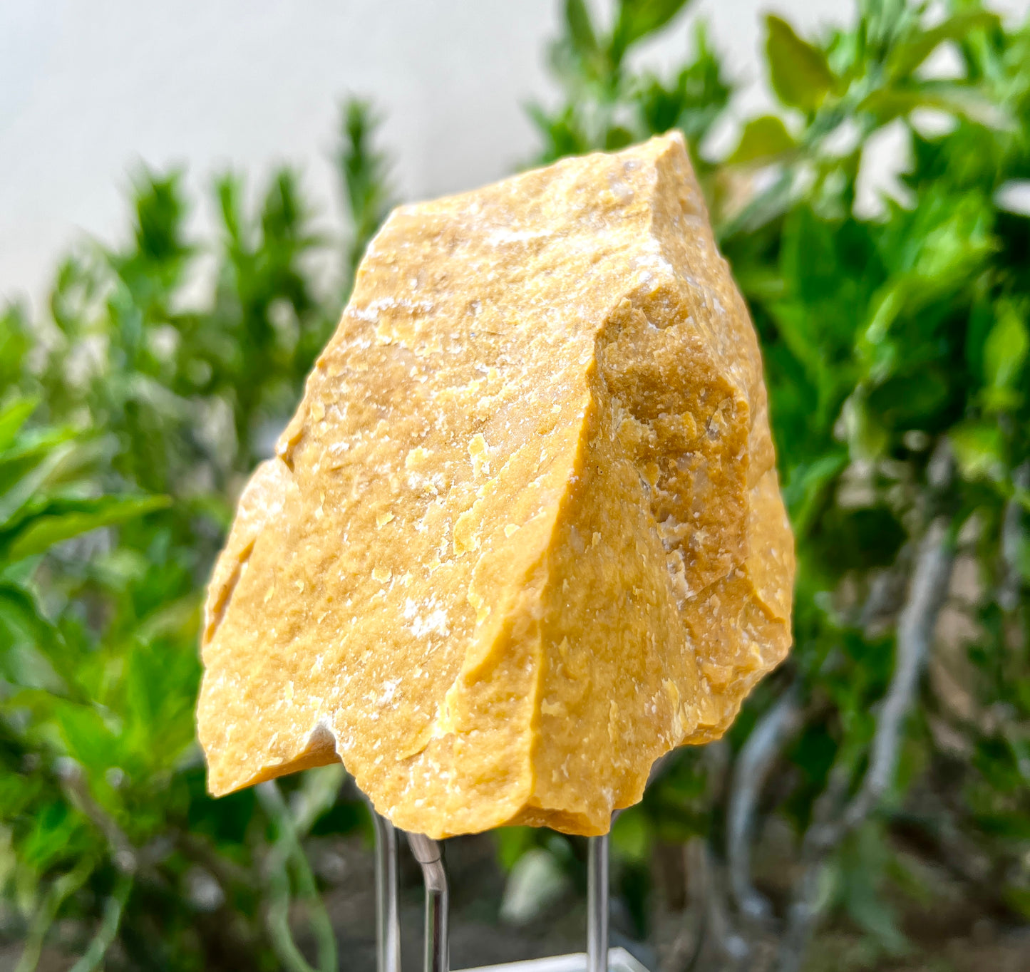 Yellow Jade Raw Big Pieces