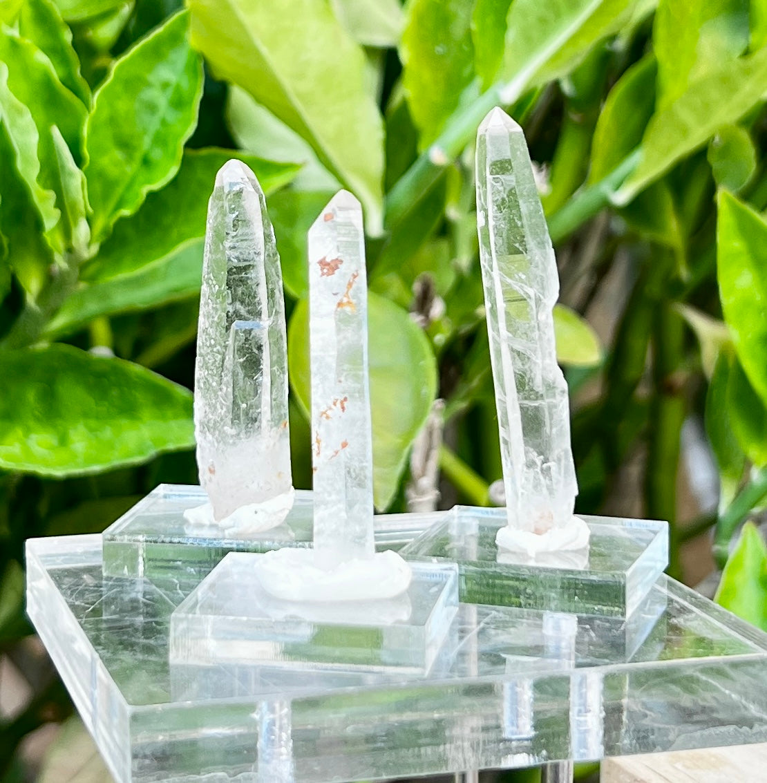 Diamantina Starseed Quartz Wand