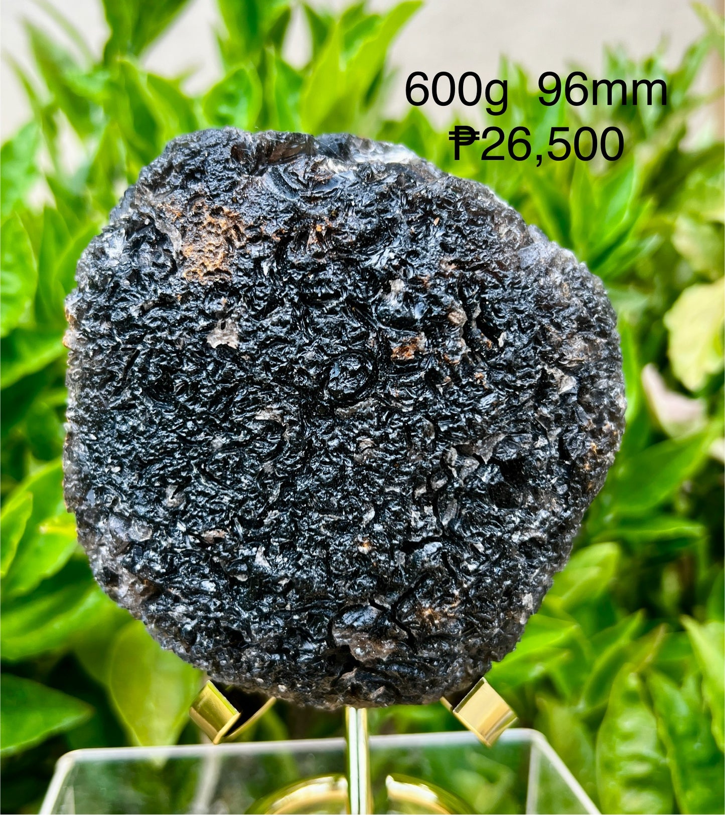 Agni Manitite Raw