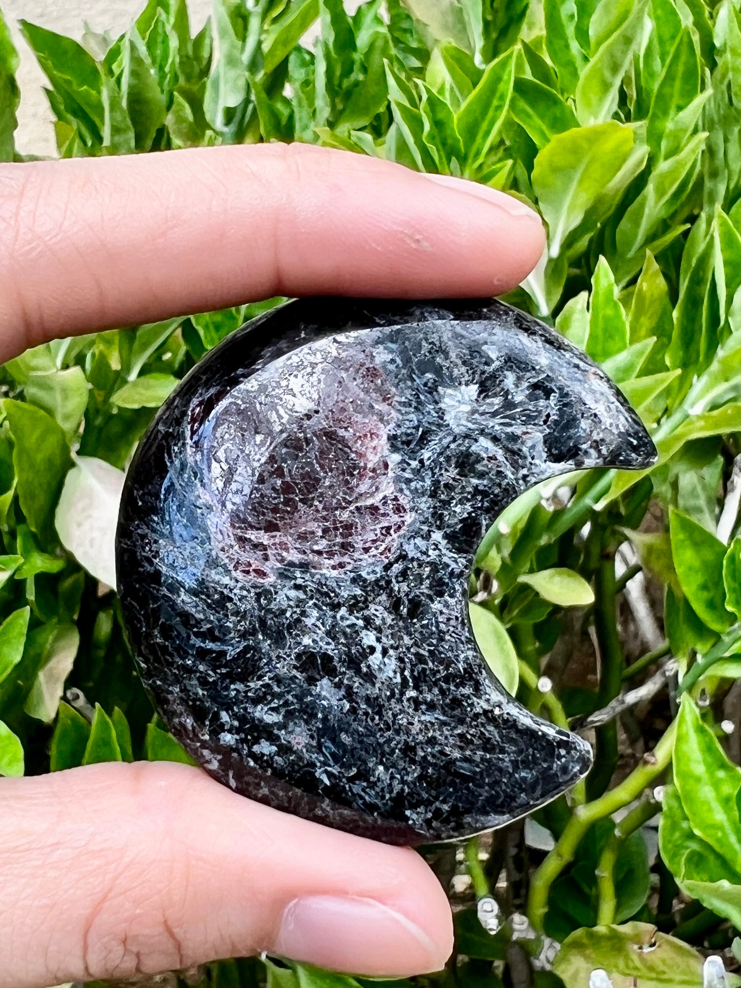 Garnet Moon