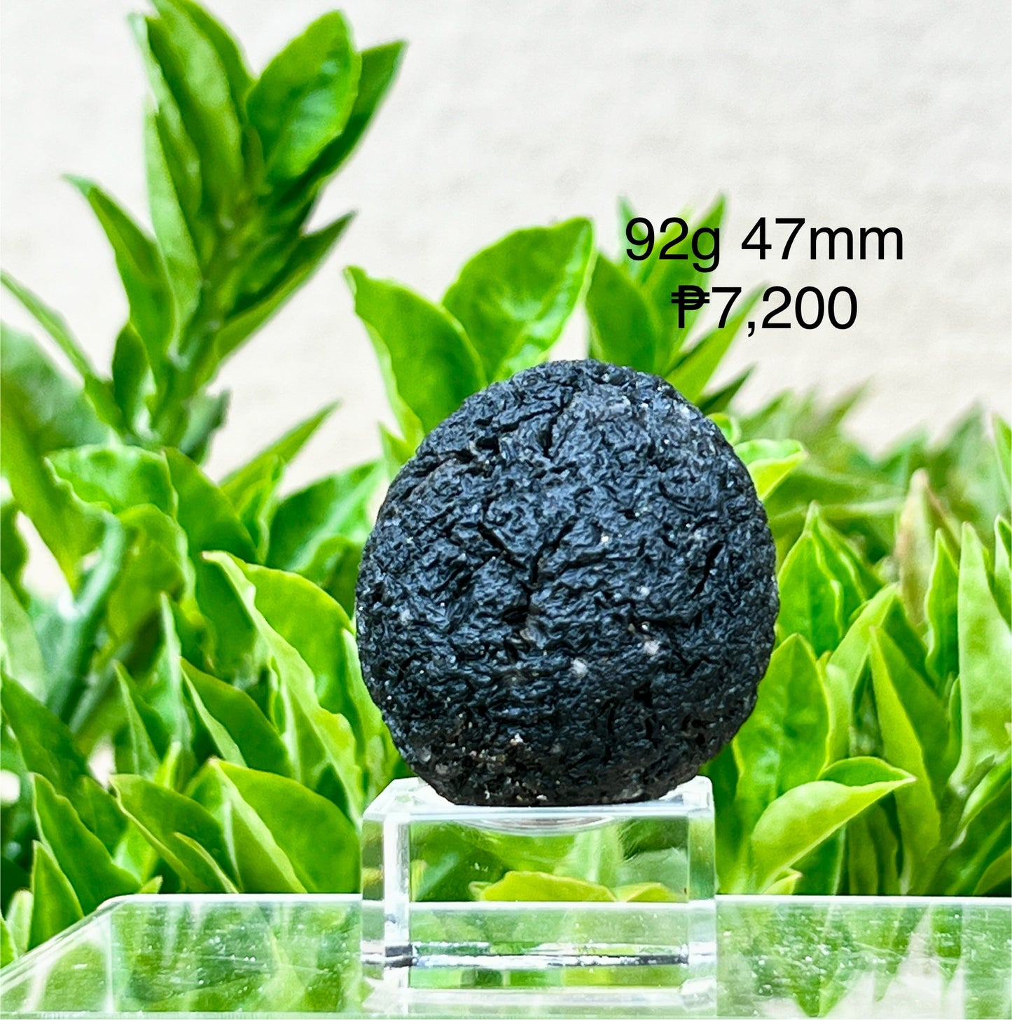 Agni Manitite Raw