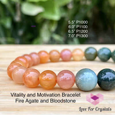 Vitality And Motivation Bracelet (Fire Agate & Bloodstone) Enhancement Series