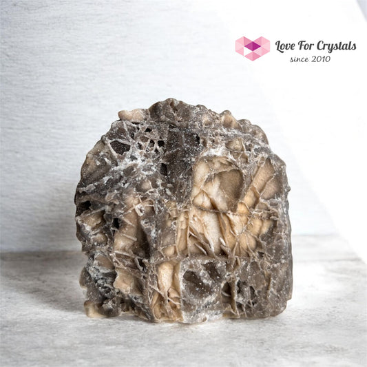 Black Ruby | Sphalerite 695g 88mm