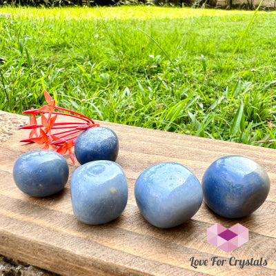 Blue Aventurine Tumbled Quartz Crystal (Brazil)
