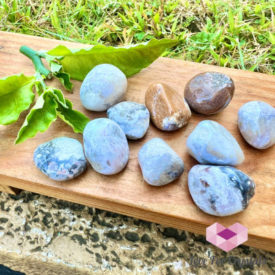 Blue Flower Agate Tumbled