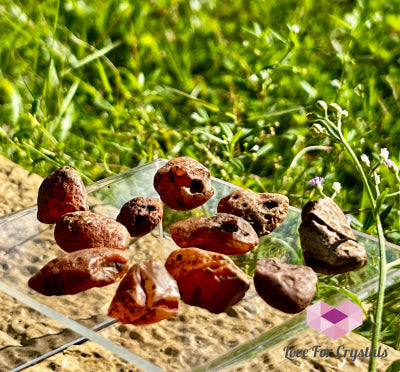 Carnelian Raw Tumbled Stones 4g 24mm Tumbled