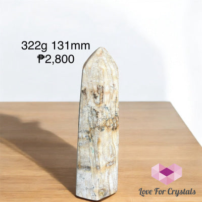 Coral Fossilised Tower Point (RARE) 322g 131mm Crystal point