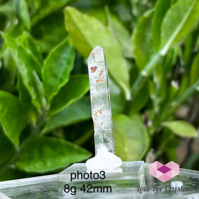 Diamantina Starseed Quartz Wand photo3 Crystal point