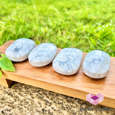 Howlite Palmstone Polished Stones