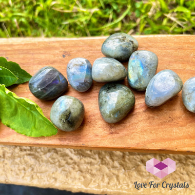 Labradorite Tumbled (Madagascar)