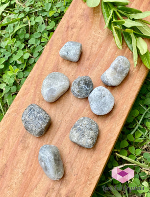 Labradorite Tumbled Stones 20mm 2pcs