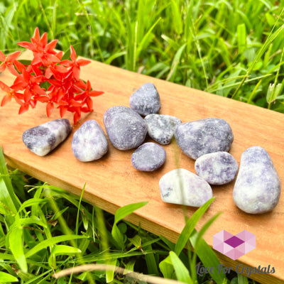 Lepidolite Lilac Tumbled (India) 20Mm
