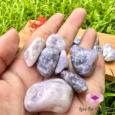 Lepidolite Lilac Tumbled (India) 25Mm