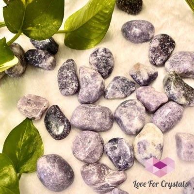 Lepidolite Lilac (India) Tumbled