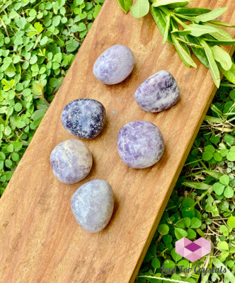 Lepidolite Lilac Tumbled (India) Tumbled