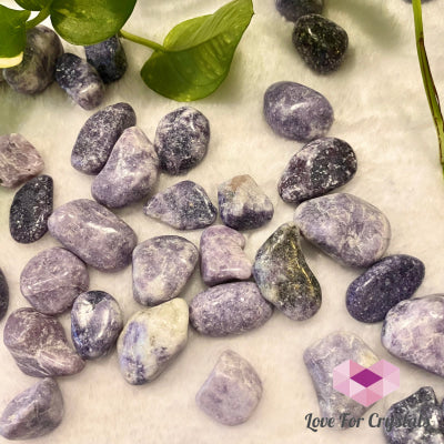 Lepidolite Lilac (India) 20Mm Tumbled