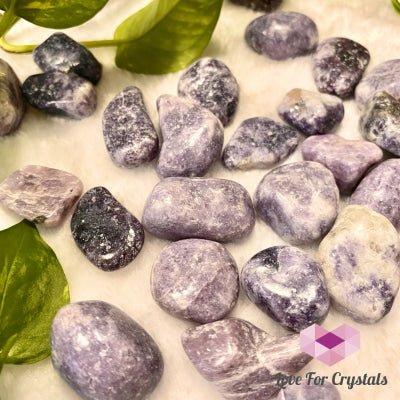 Lepidolite Lilac (India) Tumbled