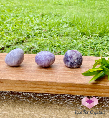 Lepidolite Lilac Tumbled (India) Tumbled