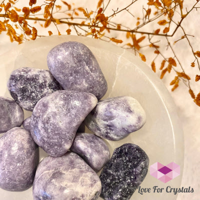 Lepidolite Lilac (India) Tumbled