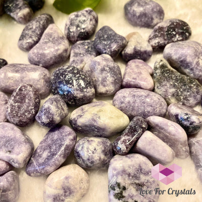 Lepidolite Lilac (India) Tumbled