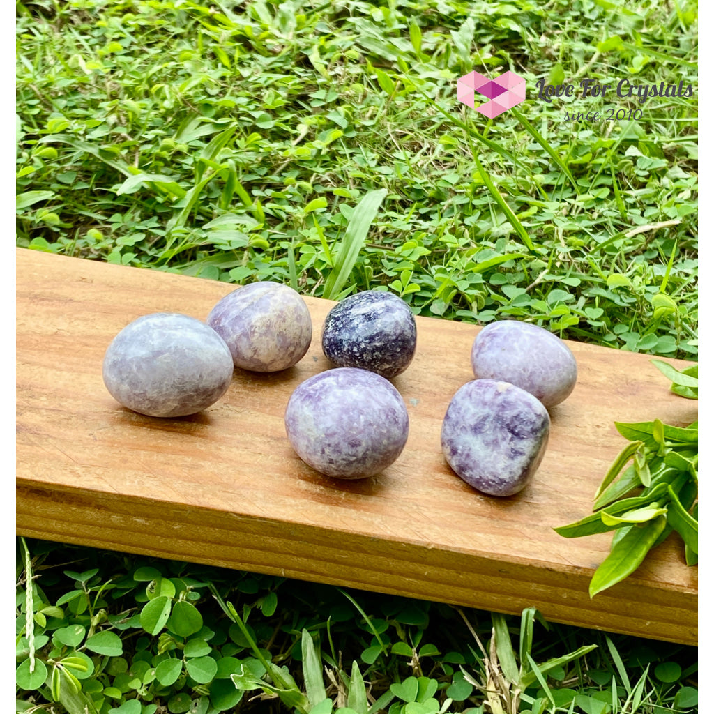 Lepidolite Lilac Tumbled (India) Tumbled