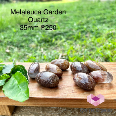 Melaleuca Garden Quartz Tumbled