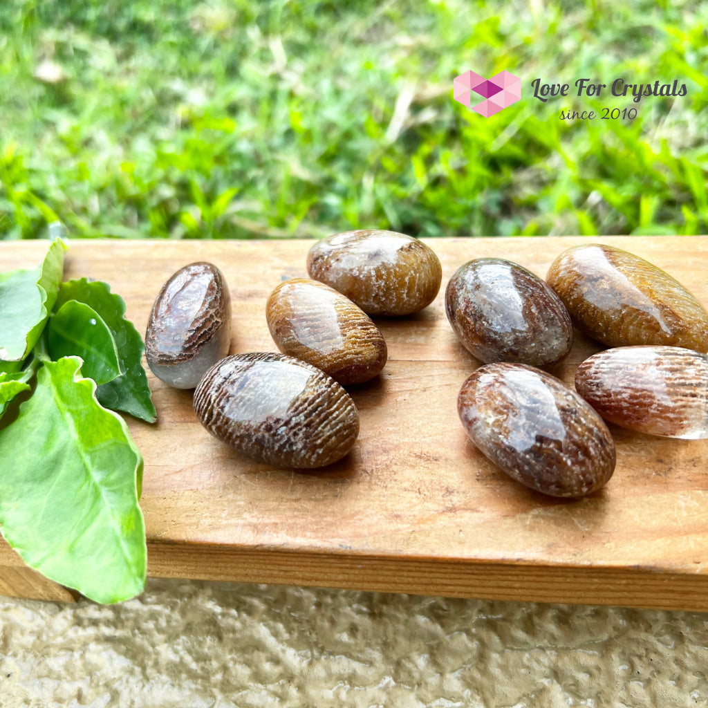 Melaleuca Garden Quartz Tumbled
