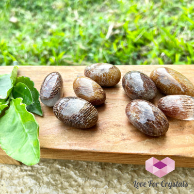 Melaleuca Garden Quartz Tumbled