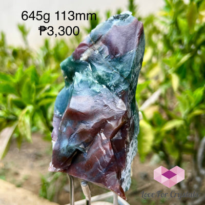 Ocean Jasper Raw Big Pieces 645g 113mm Raw crystal