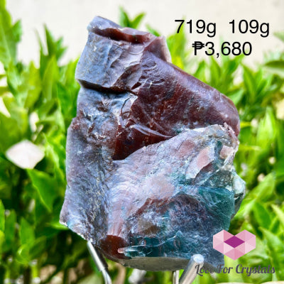 Ocean Jasper Raw Big Pieces 719g 109mm Raw crystal