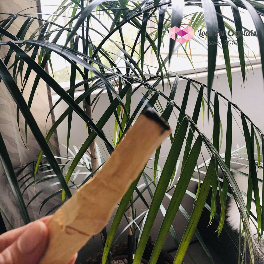 Palo Santo Holy Wood Smudge Stick Incense