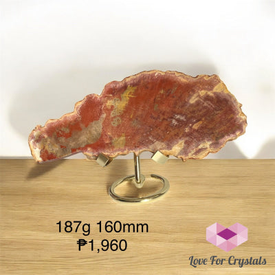 Petrified Wood Slab 187g 160mm Slabs