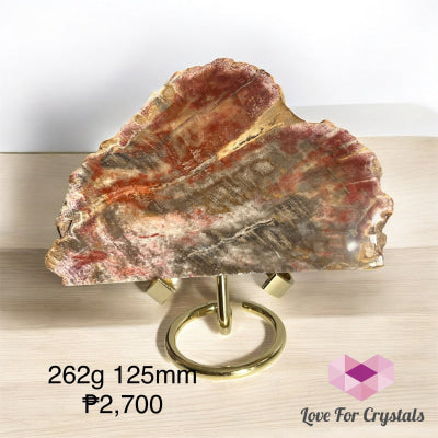 Petrified Wood Slab 262g 125mm Slabs