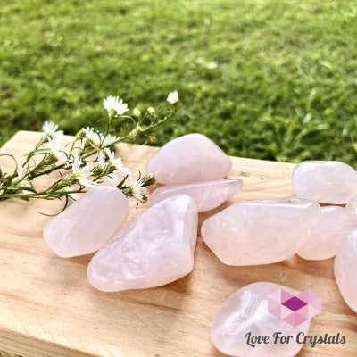 Rose Quartz Tumbled (Brazil)