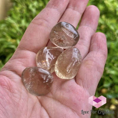 Smoky Quartz Tumbled (Brazil) Pack Of 2 (20-25Mm)
