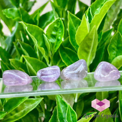 Super Seven Tumbled Stone 17mm per piece Tumbled