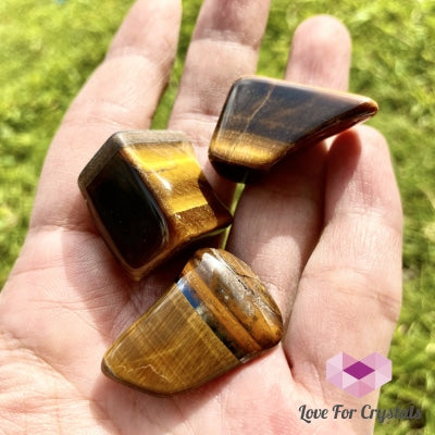 Tigers Eye Tumbled (South Africa) Aaa