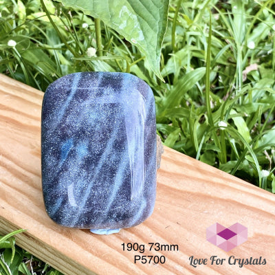 Trolleite Palm Stone (Brazil) Rare 190G 73Mm Polished Stones