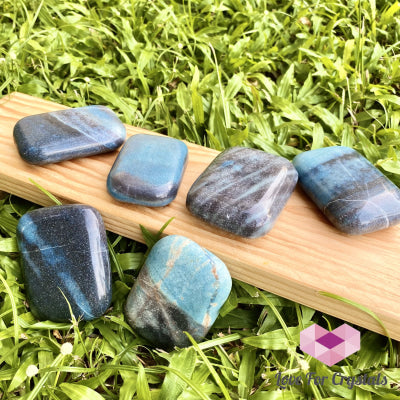 Trolleite Palm Stone (Brazil) Rare Polished Stones