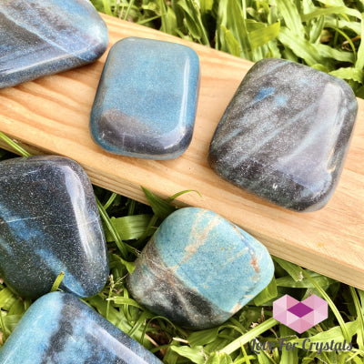 Trolleite Palm Stone (Brazil) Rare Polished Stones