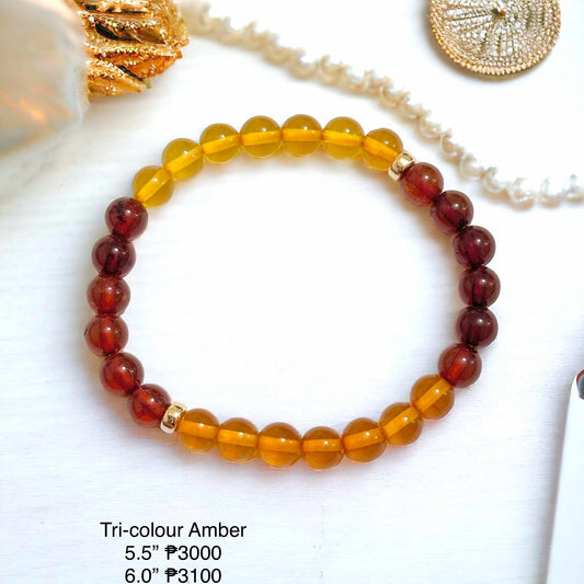 Amber Tricolour Bracelet (Natural) 6mm