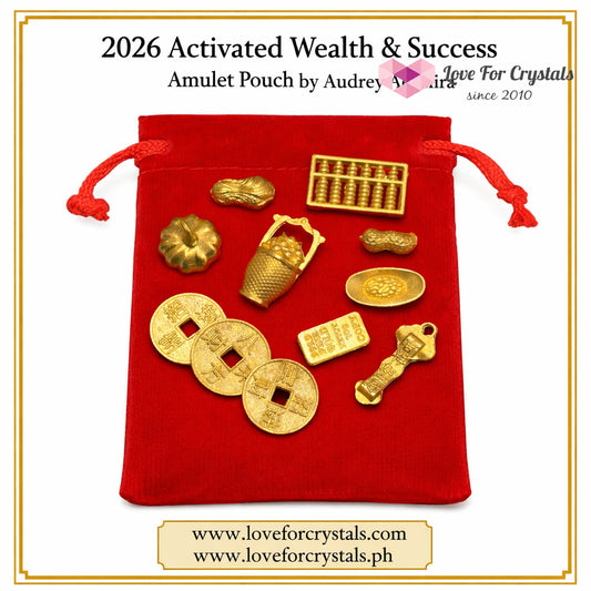2026 Activated Wealth & Success Amulet Pouch (Pocket Sized 11 pcs) by Audrey (PRE-ORDER) Amulet