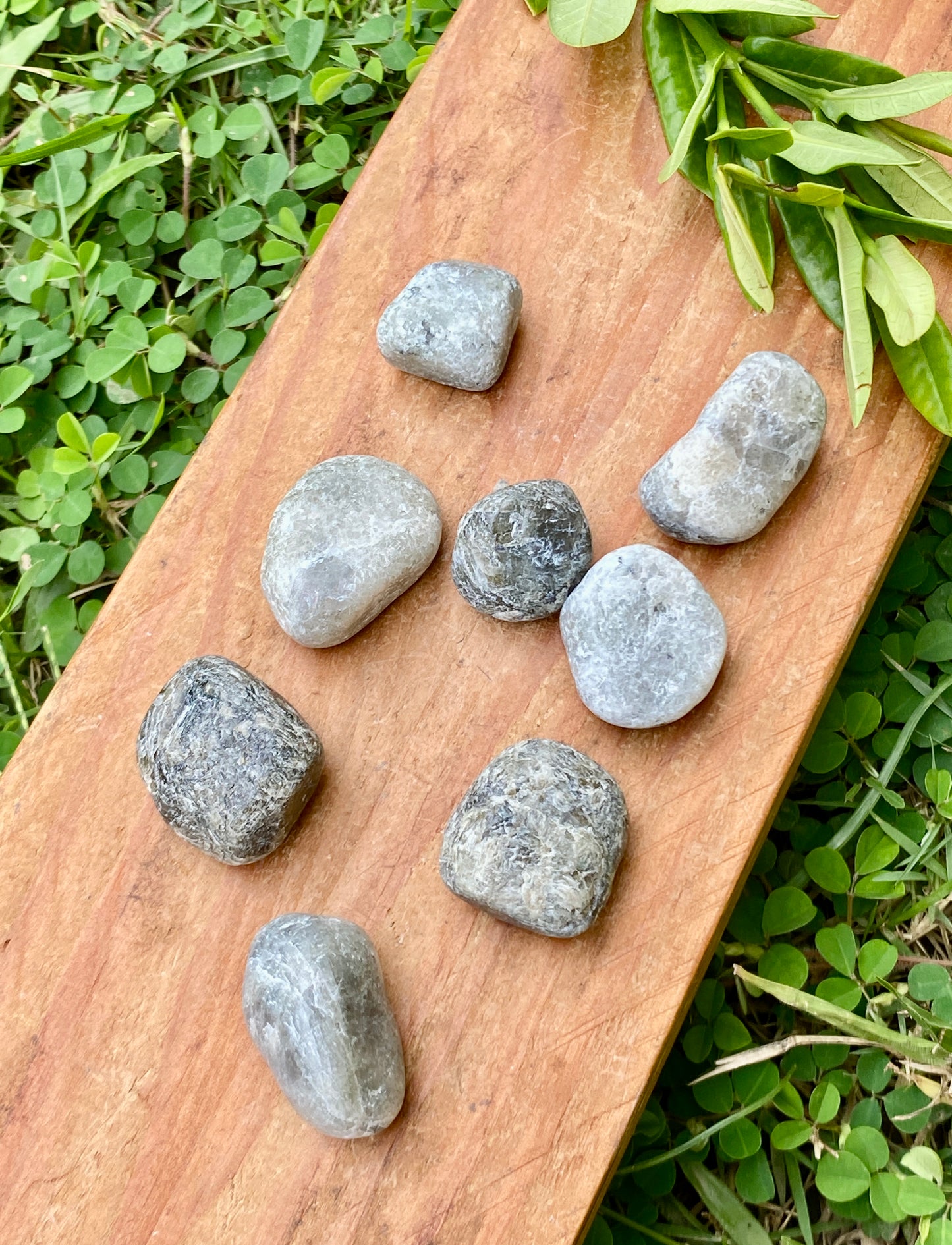 Labradorite Tumbled Stones