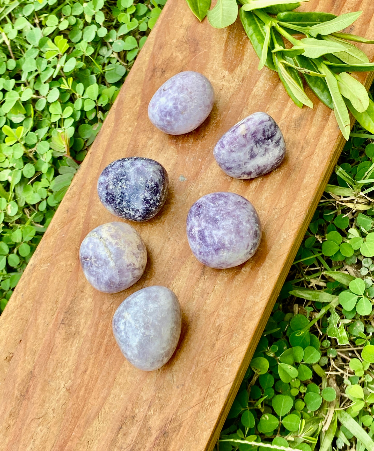 Lepidolite Lilac Tumbled (India)