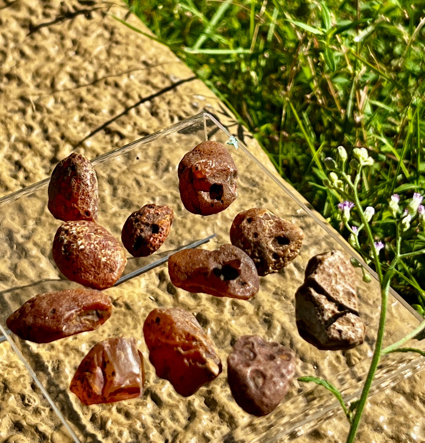 Carnelian Raw Tumbled Stones