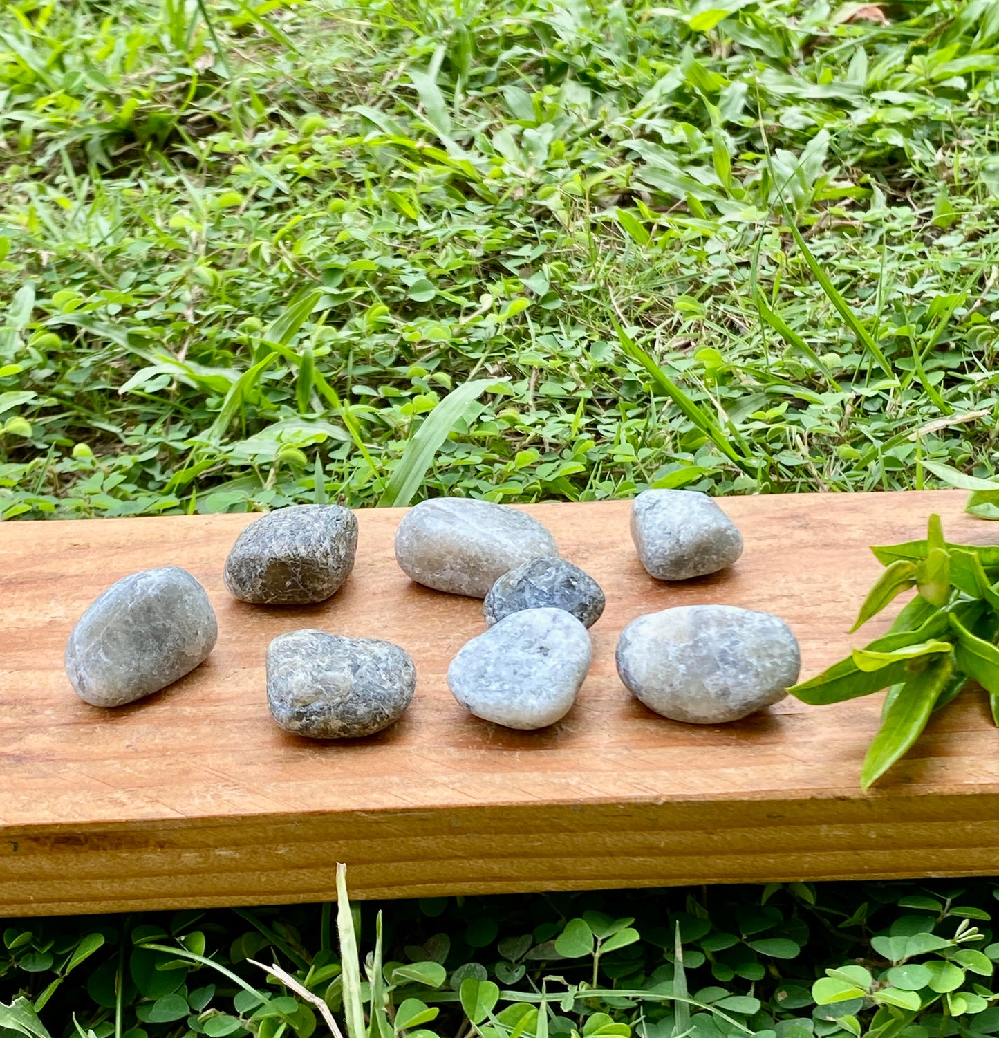 Labradorite Tumbled Stones