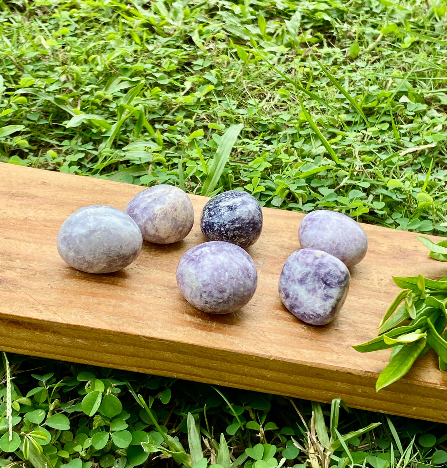 Lepidolite Lilac Tumbled (India)